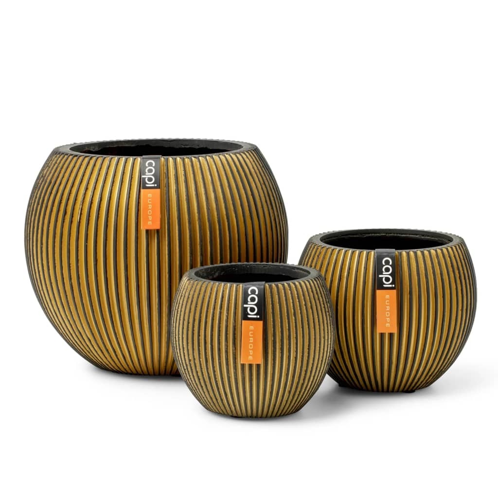 Mafett Modern 3-Piece Gold Vase Set